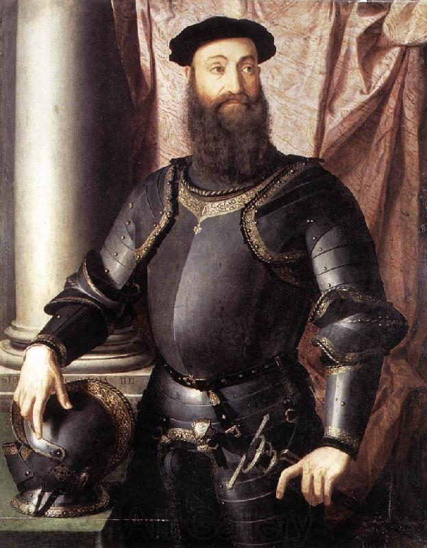 BRONZINO, Agnolo Portrait of Stefano IV Colonna Spain oil painting art